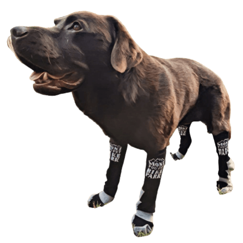 Melvil