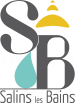 https://www.mairie-salinslesbains.fr/